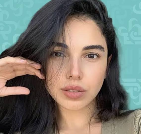 بينادوني في الشارع يادكتورة.. سلمى أبوضيف تتحدث عن كواليس مسلسل بنج كلي